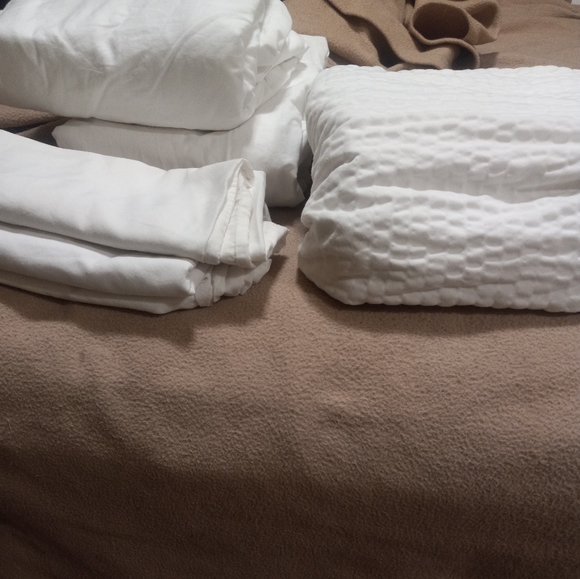 Standard Textiles Other - $10 Queen Sheet Set *Last one*